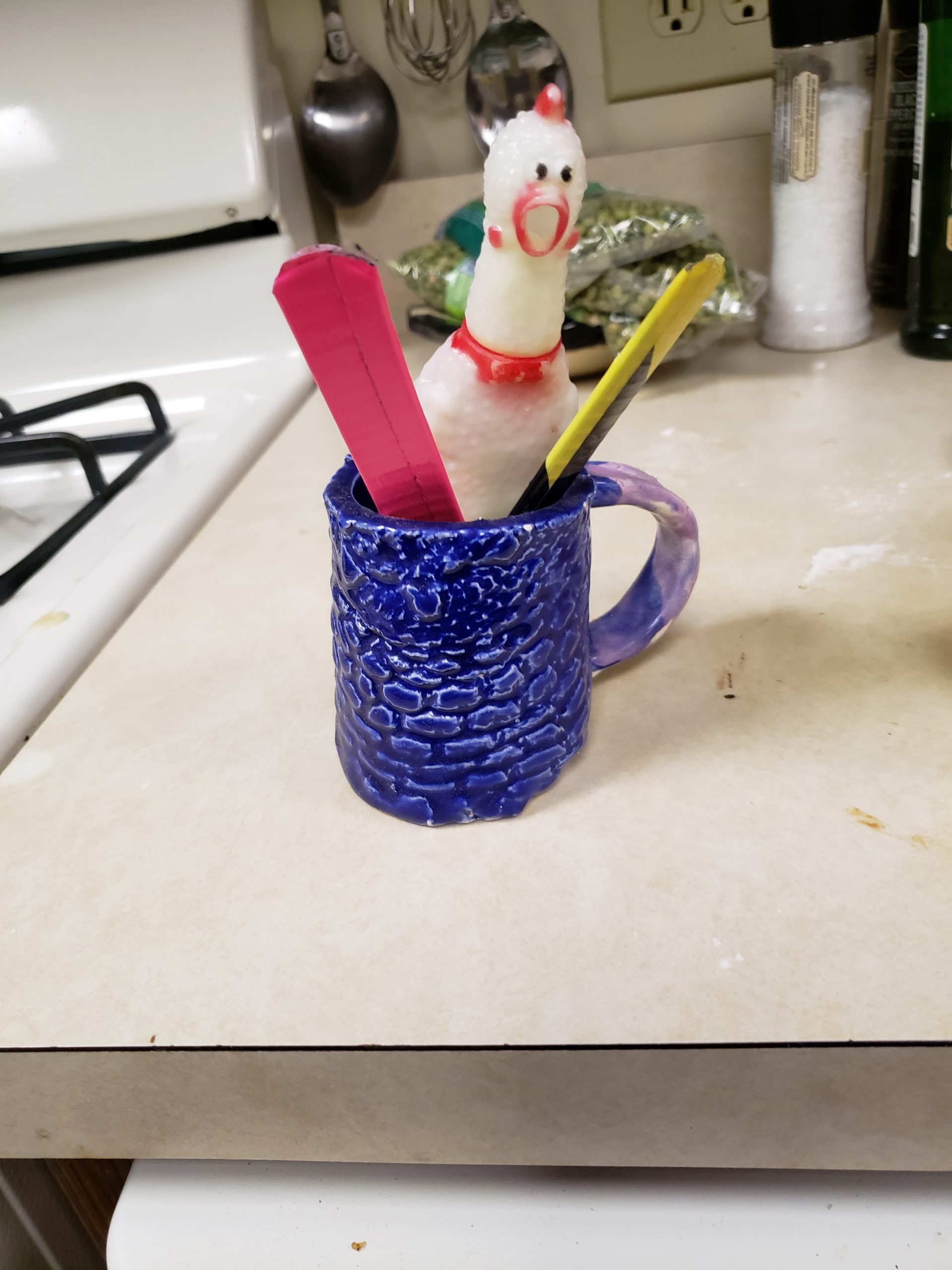 Chick-o, my pet rubber is checking out his homemade skiis.