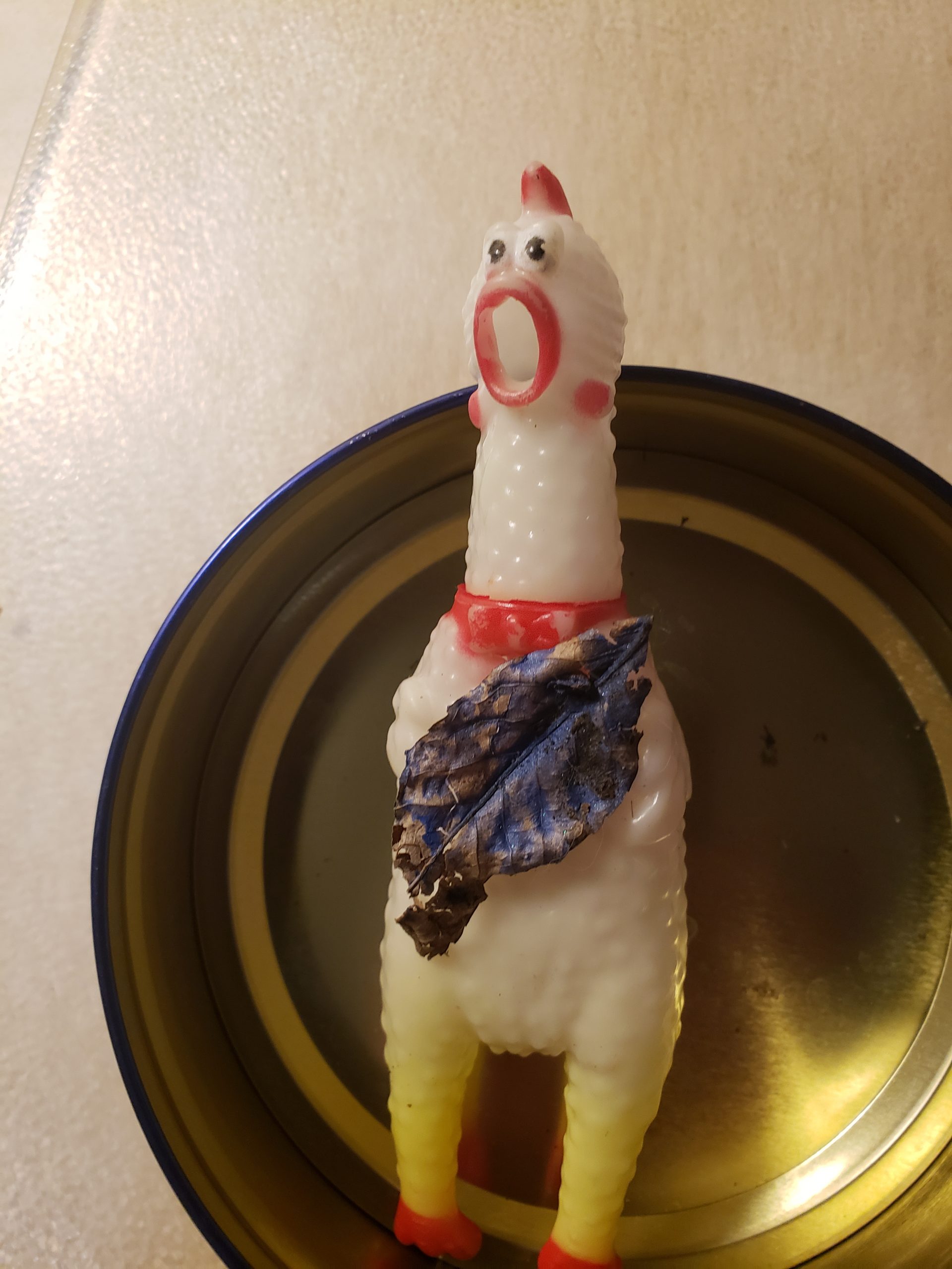 Chick-o, my pet squeaky chicken, is holding a painted leaf.