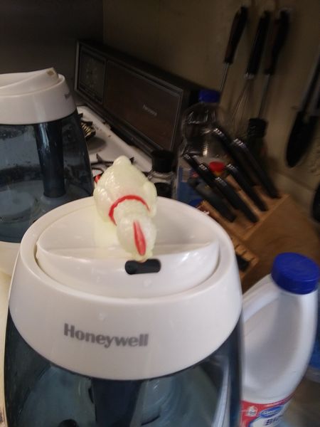 Chick-o, my pet rubber chicken, is leaning over the top of a humidifer.