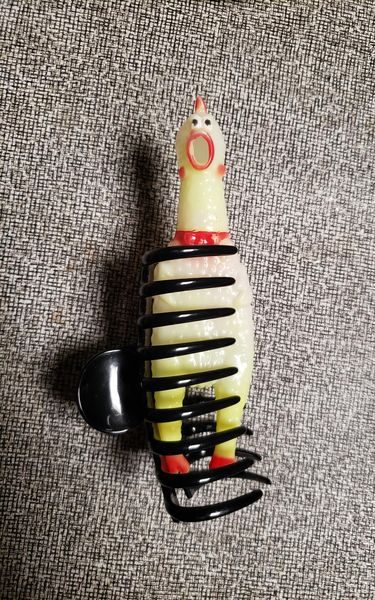 Chick-o, a family rubber chicken, has from neck down stuck in a black hair clip