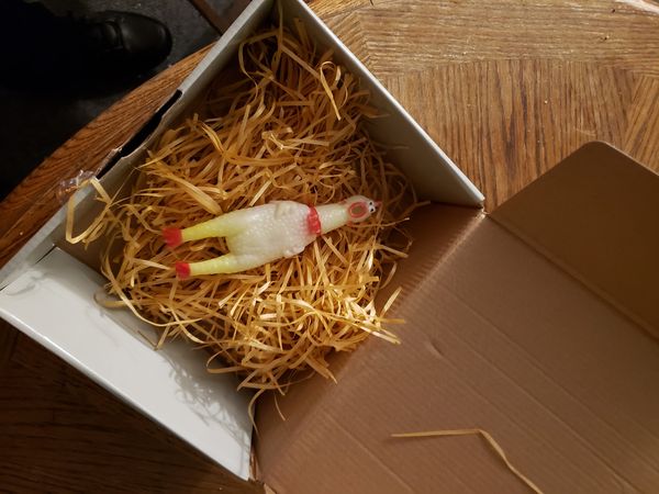 Chick-o, our rubber chicken family member is resting in a box of shredded paper