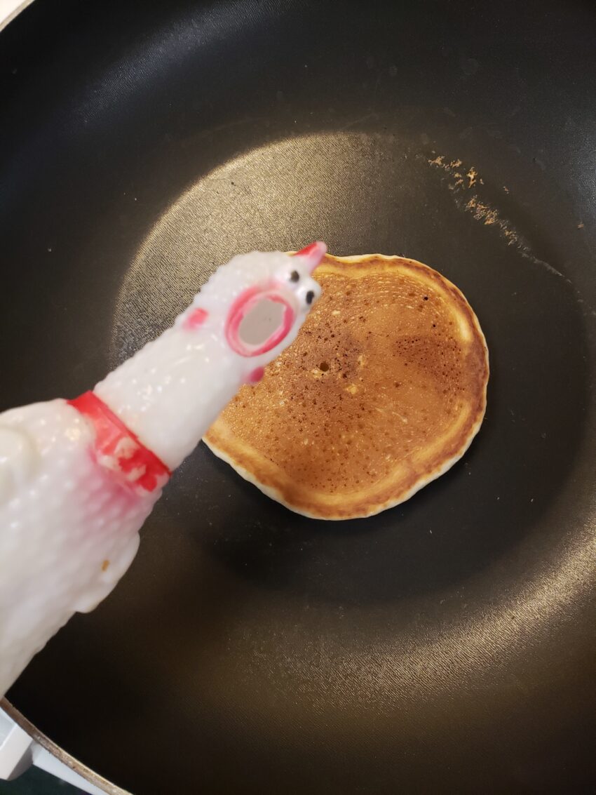 Chick-o, my pet rubber chicken is looking right at your with a heart pancake in a black frying pan in the background.