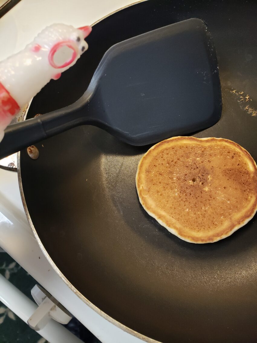 Chick-o, our pet rubber chicken, cooked pancakes this morning.