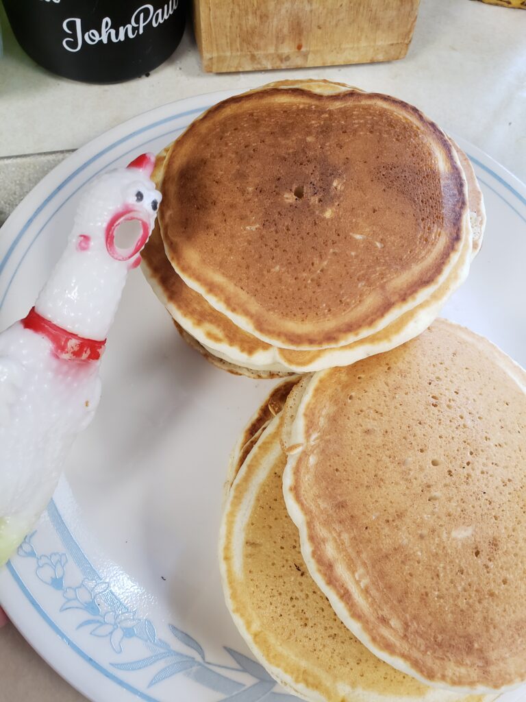 Chick-o, our pet rubber chicken, posing with a pile of pancakes.
