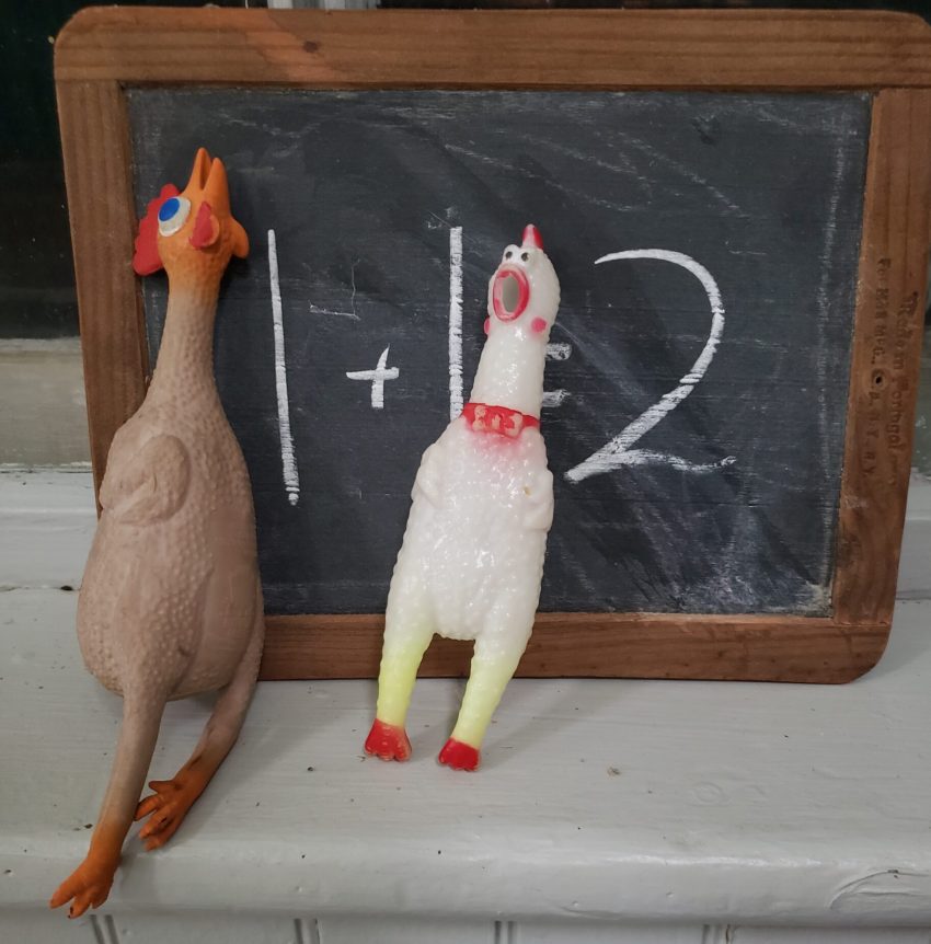 Cuz and Chick-o, rubber chickens, are leaning in front of a chalkboard, on a window ledge, that says 1 + 1 =2
