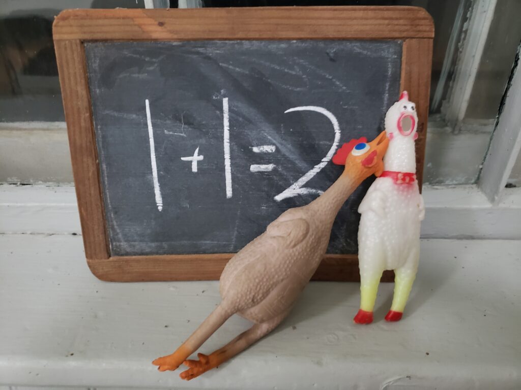 Cuz and Chick-o, 2 rubber chickens, are in front of a blackboard learning to the right of the 2, that says 1 + 1 = 2, on a window ledge